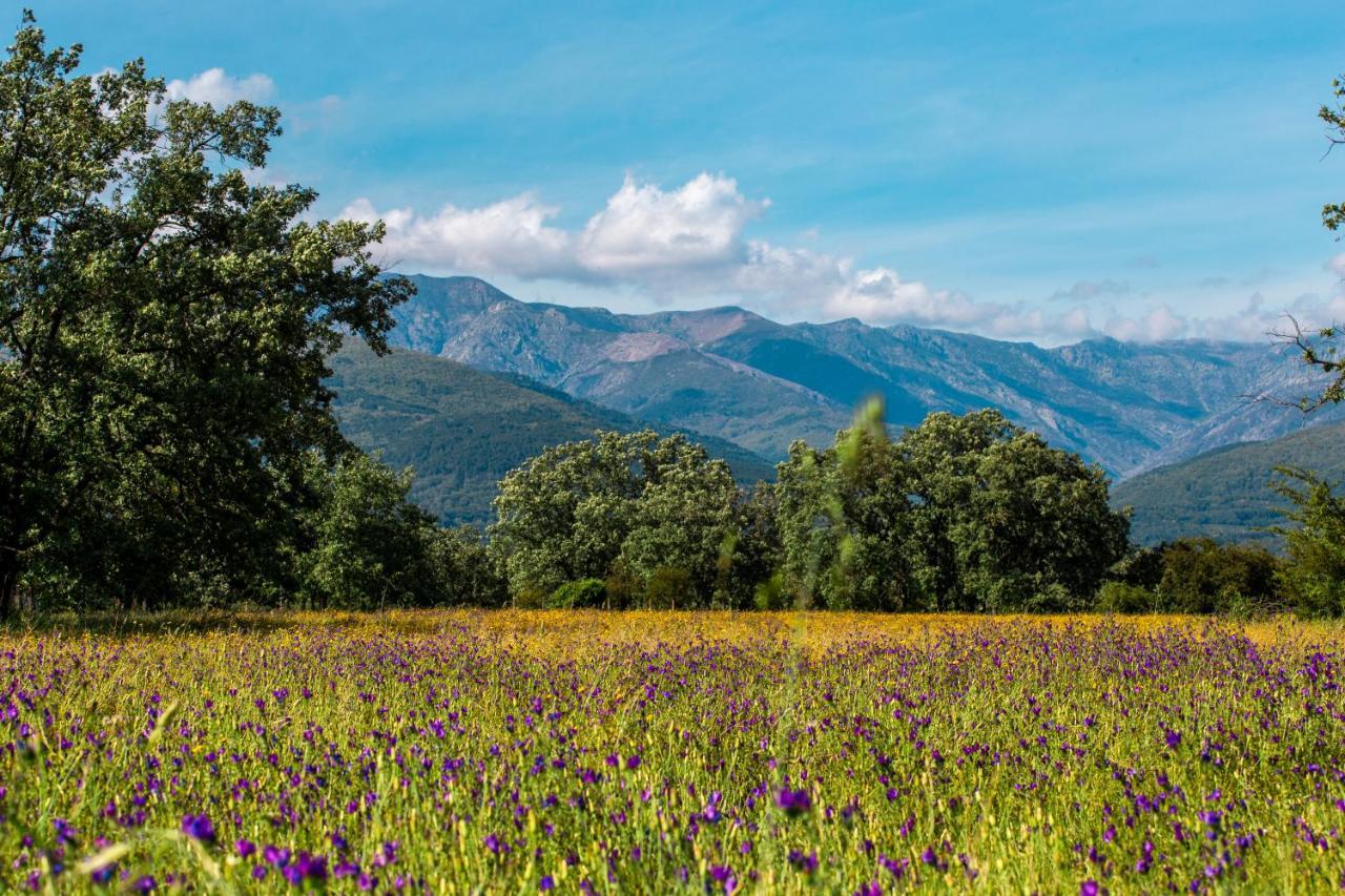 Hostal Los Castanuelos Candeleda Zewnętrze zdjęcie